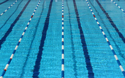 The Swim Lane Process: A streamlined alternative to RACI charts